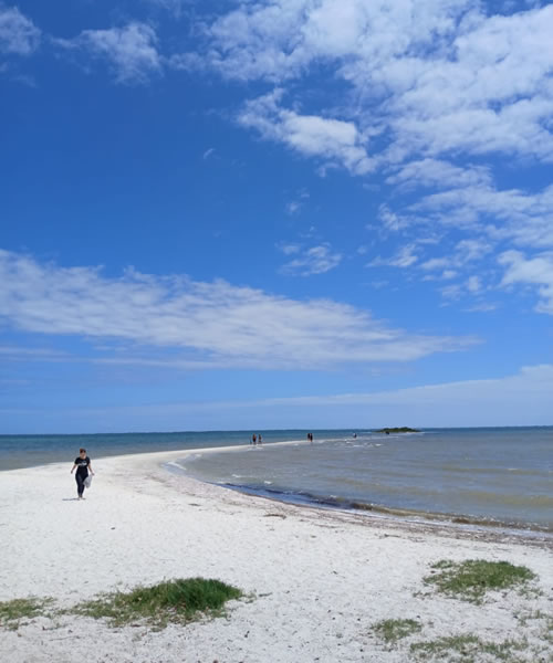 Ilha do Boi em São Pedro da Aldeia