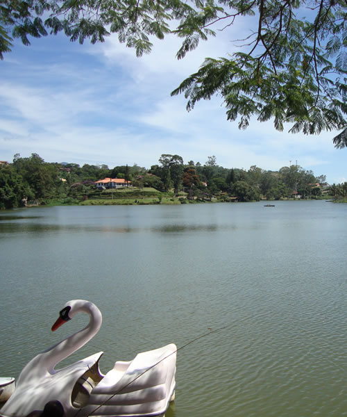 Atrações em Miguel Pereira